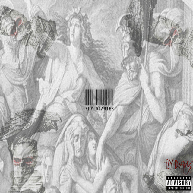 FLY DIARIES cover art