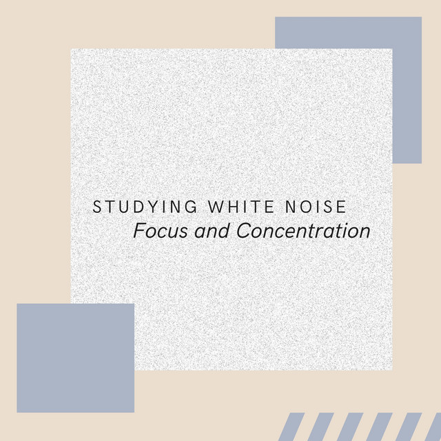 Studying White Noise: Focus and Concentration