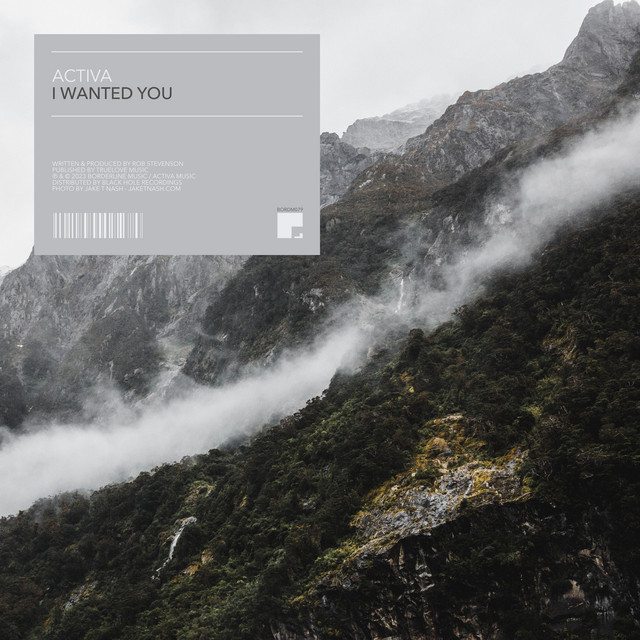 I Wanted You - Extended Mix album art