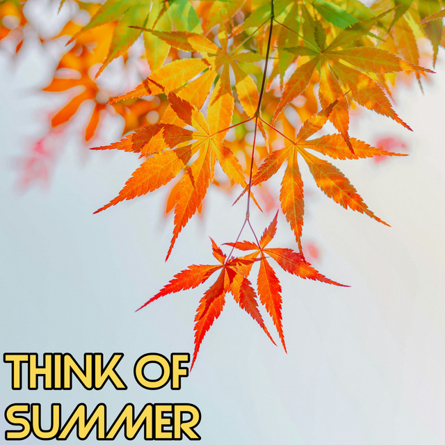 Think Of Summer cover