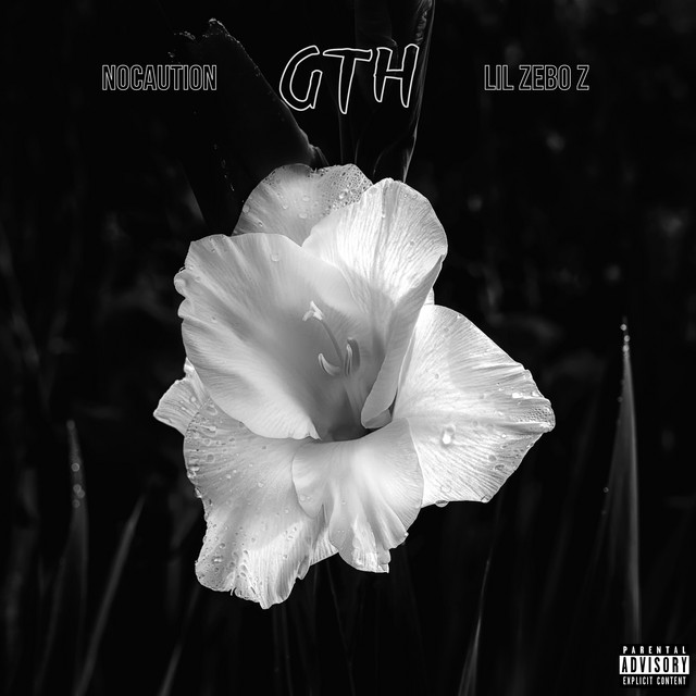 GTH cover art