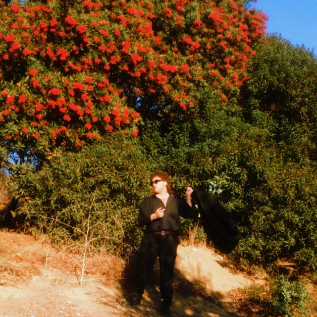 It Never Rains In LA cover art