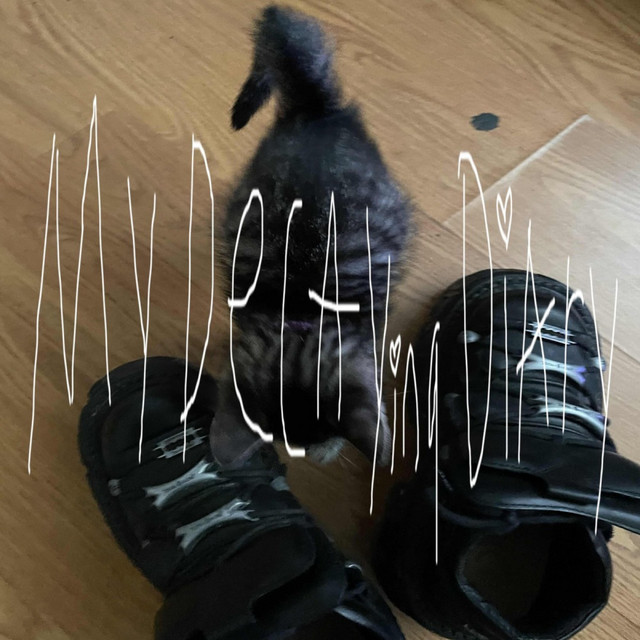 Internet Girlfriend cover art