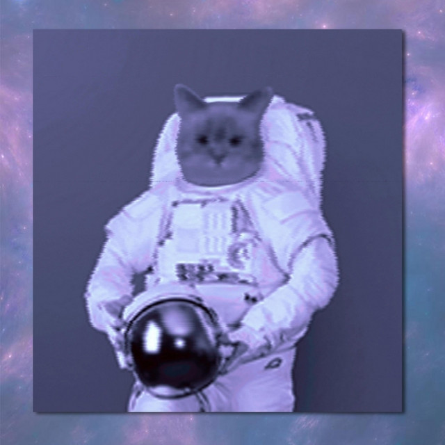 limits cover art