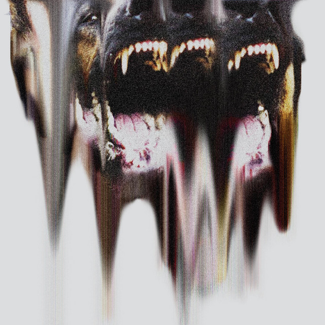 Lip Critic / Omnibael Split cover art