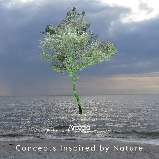Concepts Inspired by Nature cover art