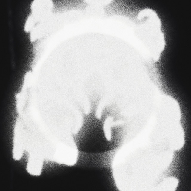Vibram cover art