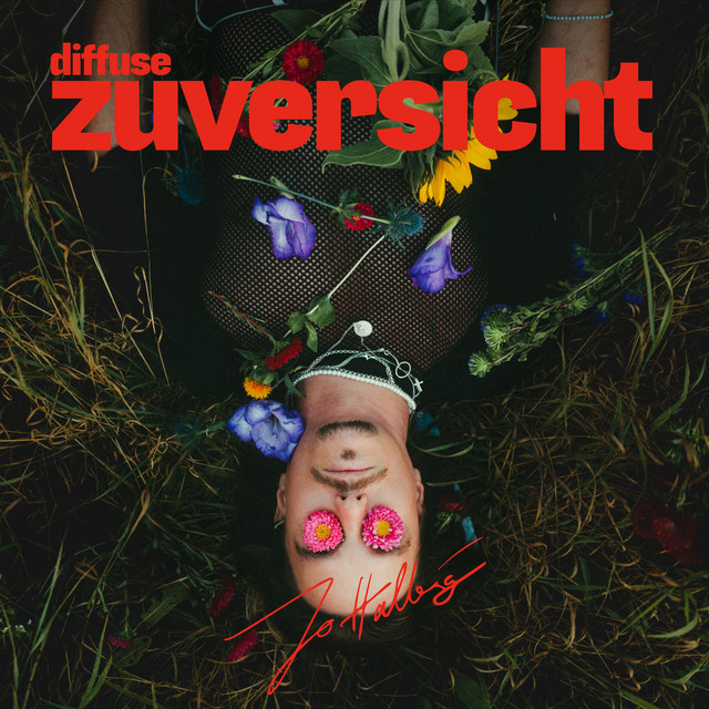 Diffuse Zuversicht cover art