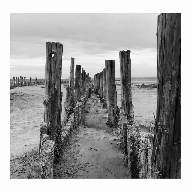 Обкладинка: Post Apocalypse Day 1 — MY EX I