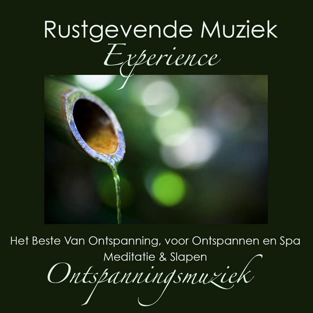 Ave Maria (New Age Versie) cover art