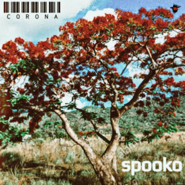 Corona - Single by Spooko | Spotify