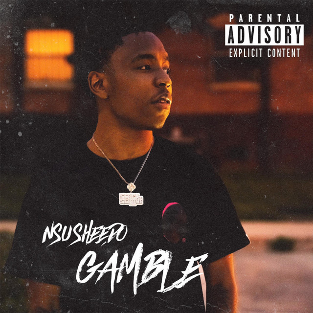 Gamble - Single by Nsu Sheedo | Spotify