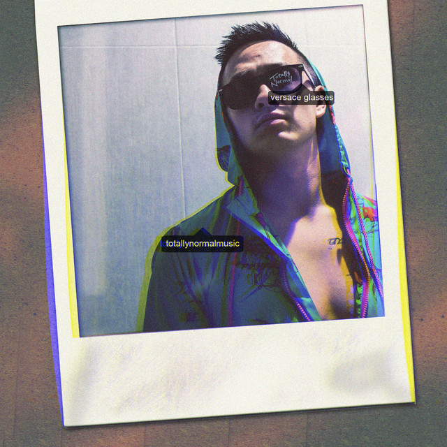 Versace Glasses cover