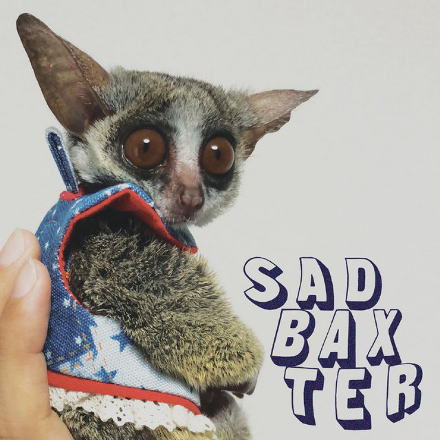 Baby / Sliver cover