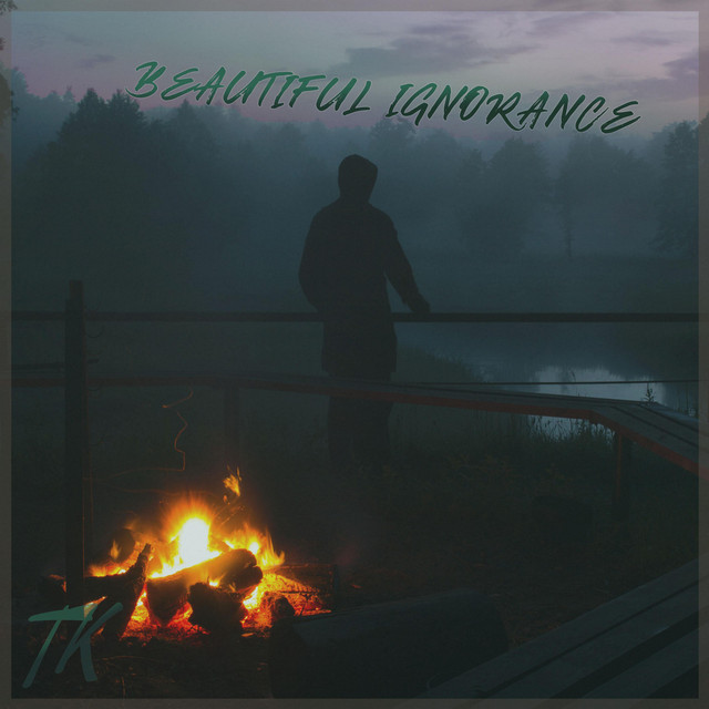 BEAUTIFUL IGNORANCE cover art