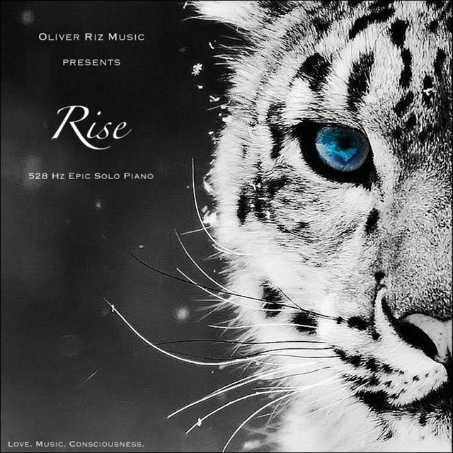 Rise - Single by Oliver Riz | Spotify