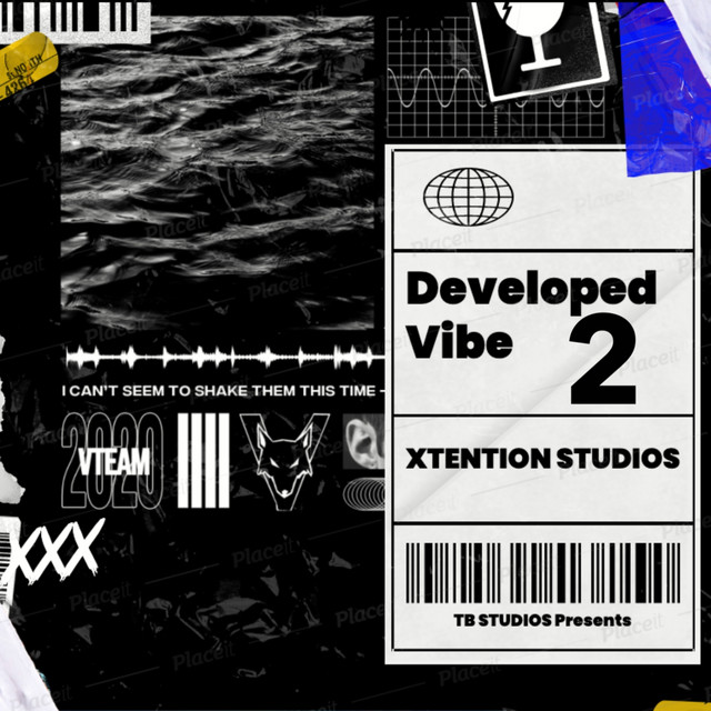Developed Vibe pt. 2 cover art