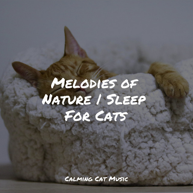 Melodies of Nature | Sleep For Cats - Album by Jazz Music for Cats ...