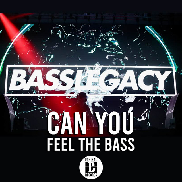Can You Feel The Bass cover