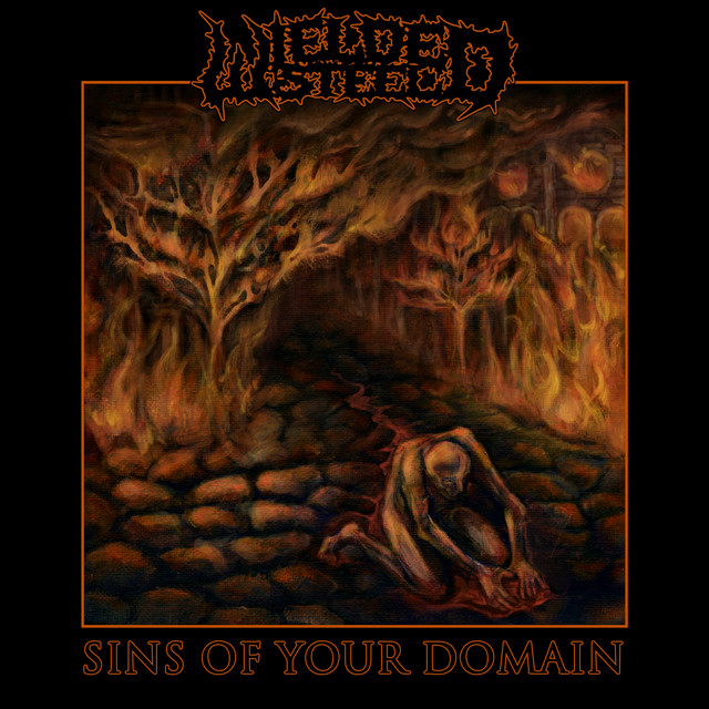 Sins of Your Domain cover art