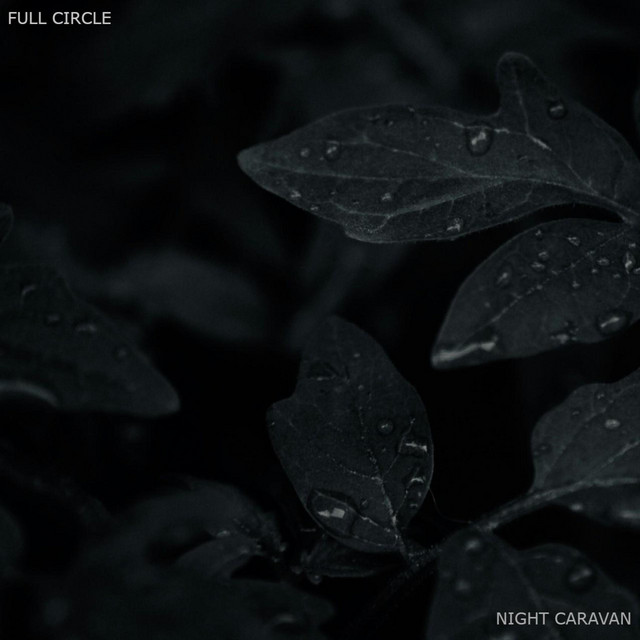 Weightless cover art