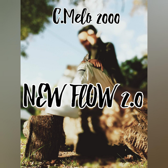 New Flow 2 cover art