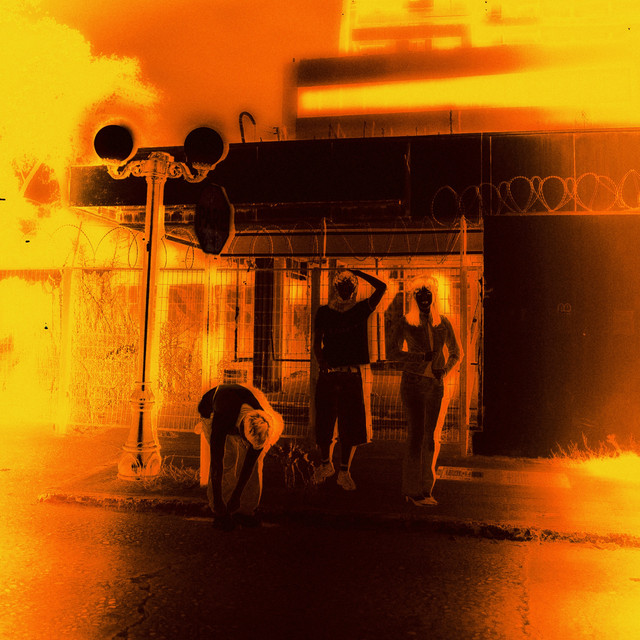 FLOR EN FIEBRE cover art