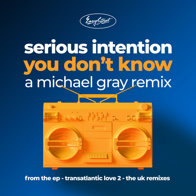 Serious Intention - You Don't Know - a Michael Gray Remix