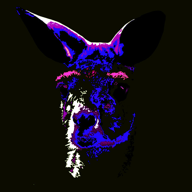 Fauna cover art