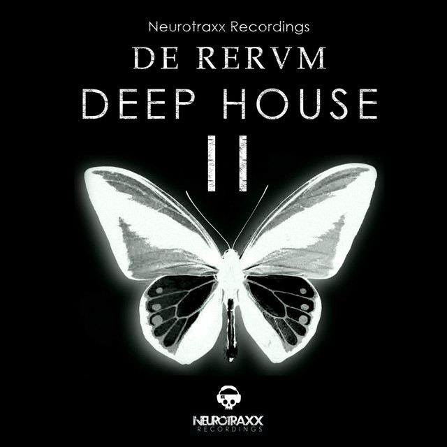 De Rerum Deep House, Vol. 2 cover art