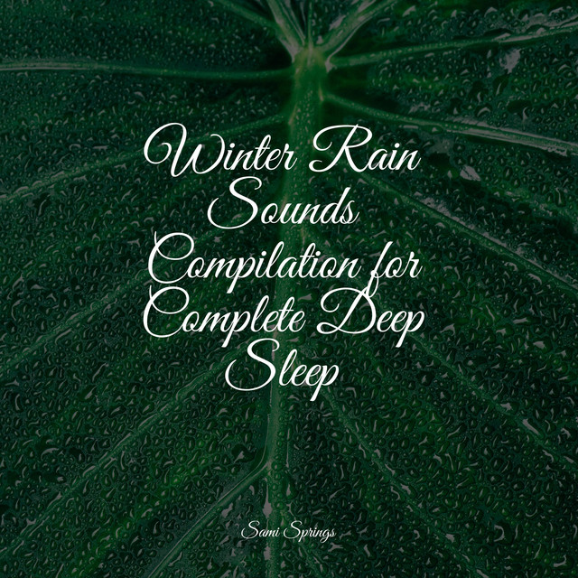 Winter Rain Sounds Compilation for Complete Deep Sleep - Album by Yoga ...