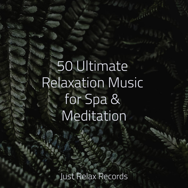 50 Ultimate Relaxation Music for Spa & Meditation - Album by Yoga ...