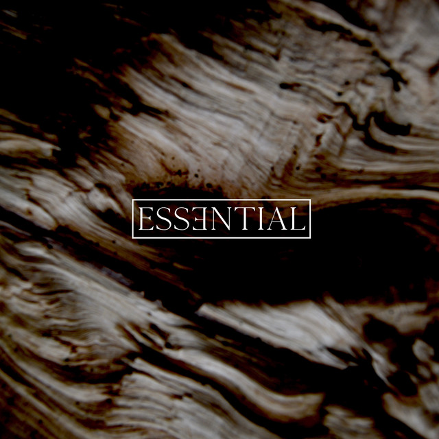 ESSENTIAL 016 cover art