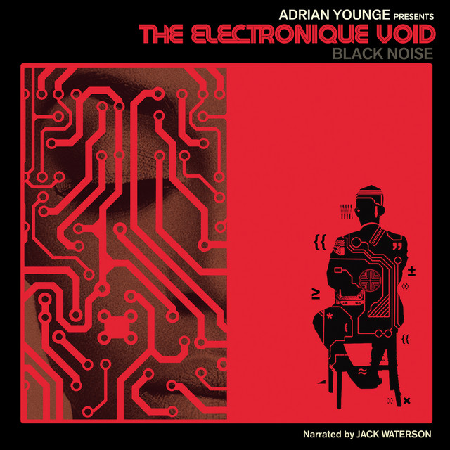 The Electronique Void: Black Noise cover art