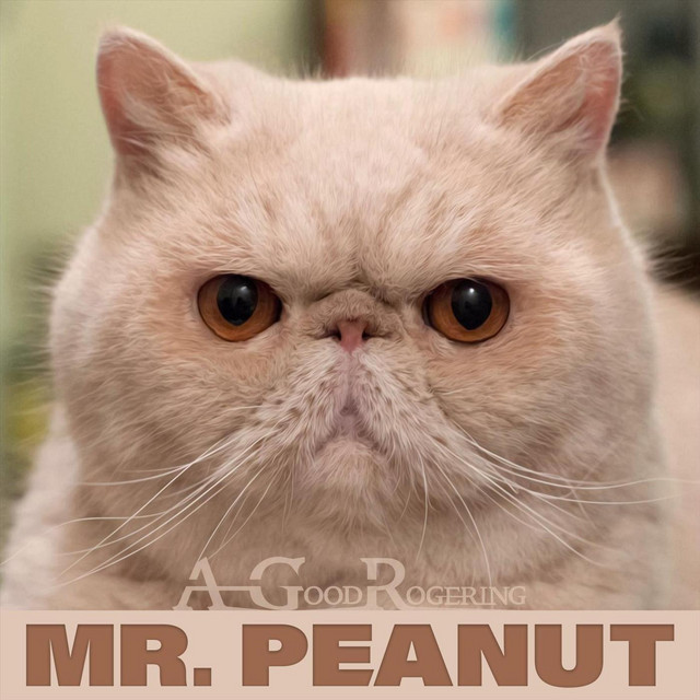 Mr. Peanut - Single by A Good Rogering | Spotify