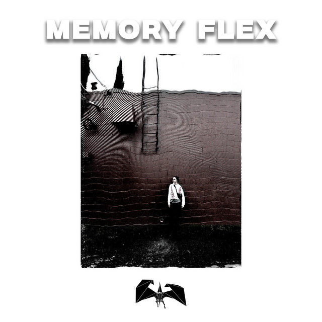 Memory Flex cover art