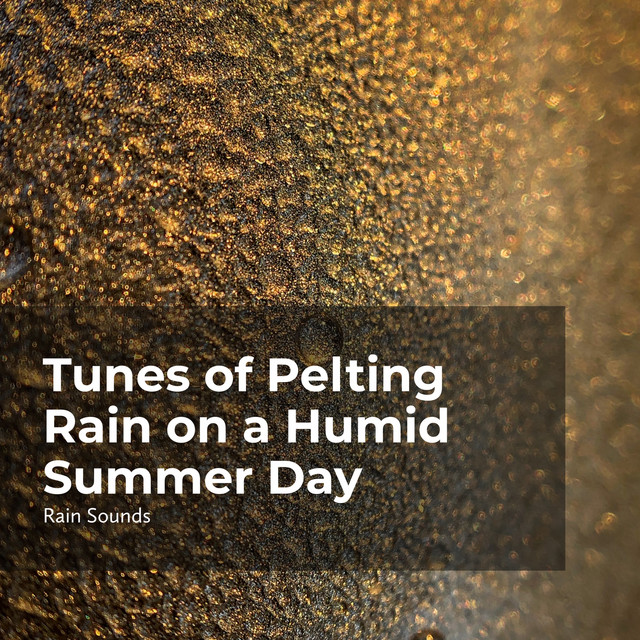 Tunes of Pelting Rain on a Humid Summer Day cover art