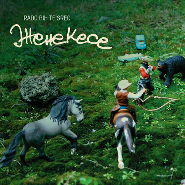 Rado bih te sreo cover