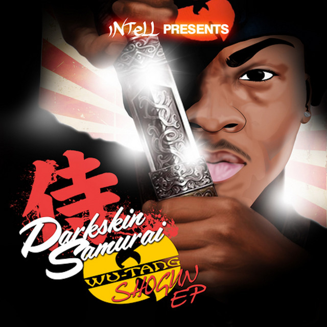 DARKSKIN SAMURAI cover art