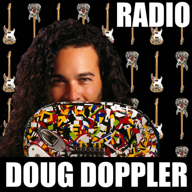 Radio cover