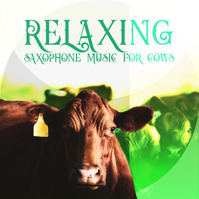 Relaxing Saxophone Music for Cows cover art