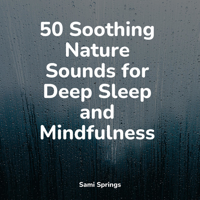 50 Soothing Nature Sounds for Deep Sleep and Mindfulness - Album by ...
