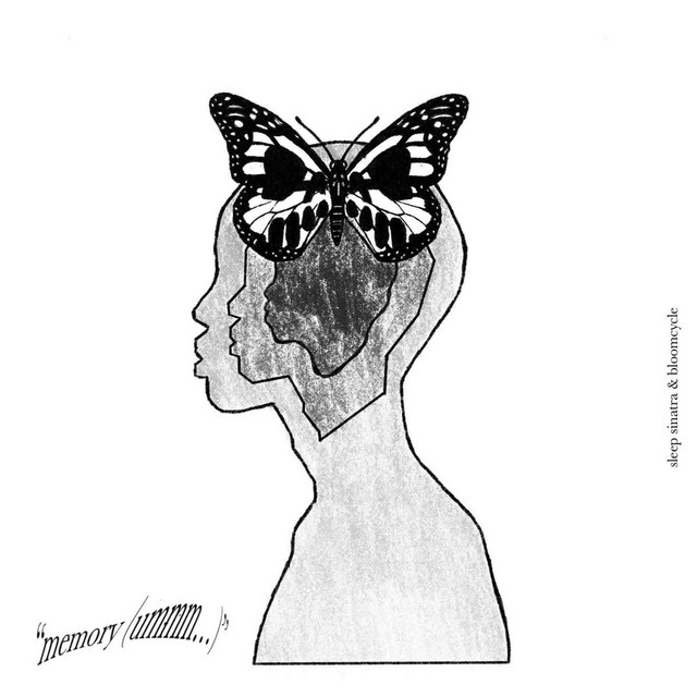 Memory(ummm) cover art