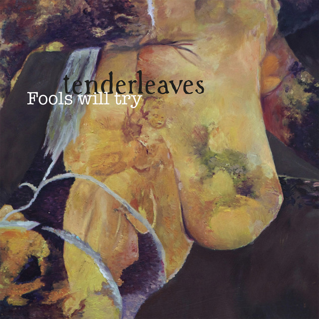Fools Will Try cover