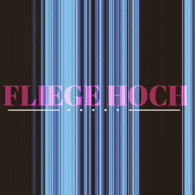 Fliege hoch cover