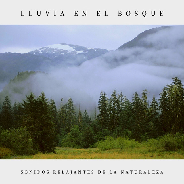 Lluvia en el Bosque cover art