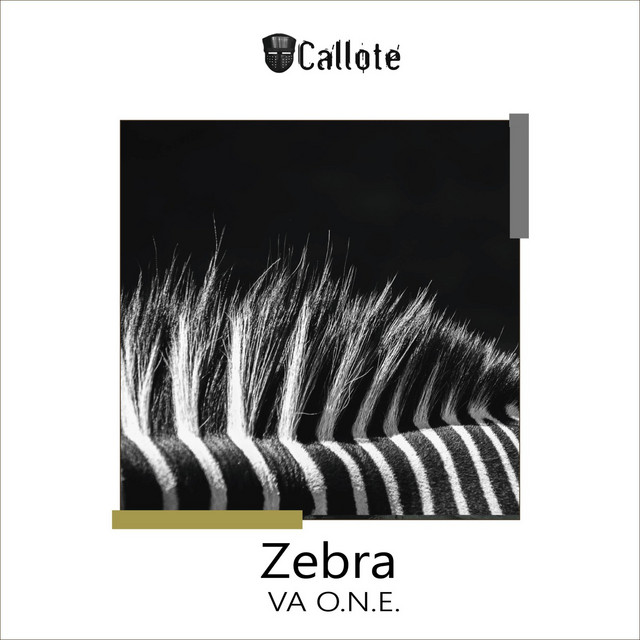 Zebra cover art