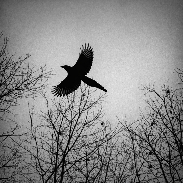 White Feather Hawk Tail Deer Hunter - Remix