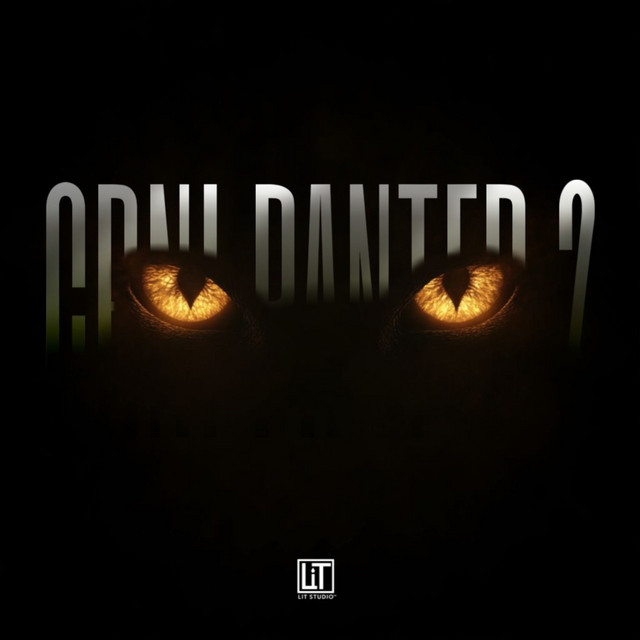 CRNI PANTER 2