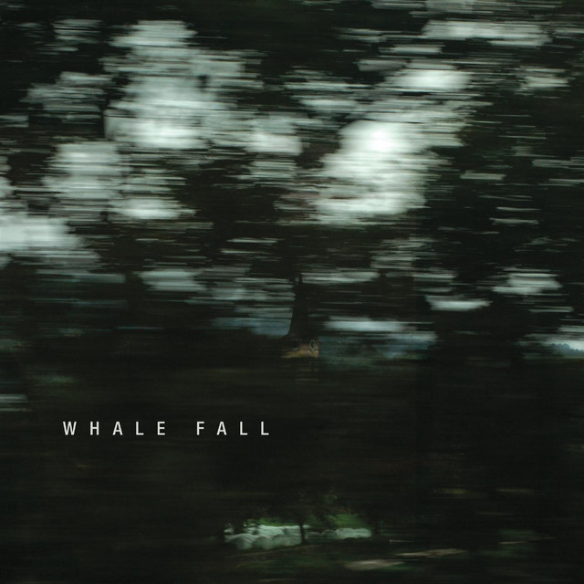 Whale Fall cover art